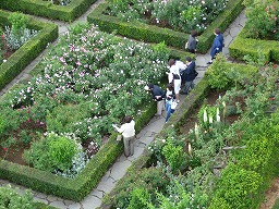 メアリーローズ英国庭園