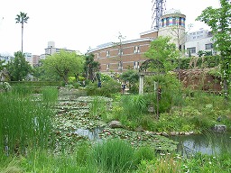 20080527-1.jpg