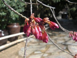 20130316-01.jpg