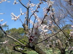 20130316-03.jpg