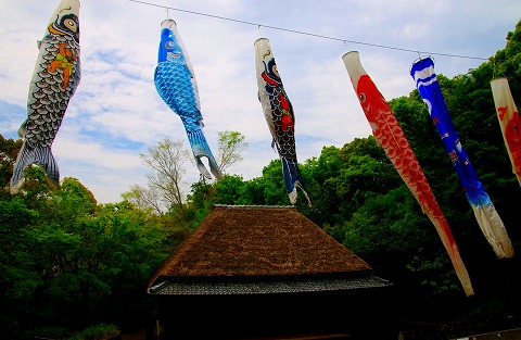 20160425koinobori.jpg