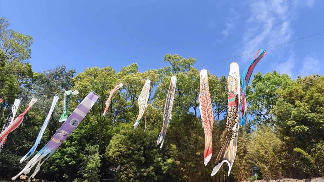 端午の節句飾りが始まりました 5月10日（日）までです | 最新情報